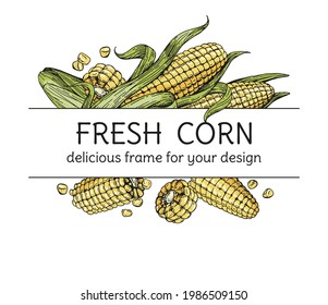 Vector text frame with corn cobs. Hand-drawn sketches engraving style. Unpeeled fruits and grains. For packaging design, menu, recipe pages. Vintage color illustration on white background