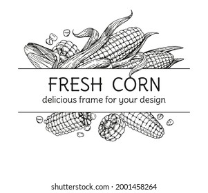 Vector text frame and corn cobs  Hand  drawn sketches engraving style  Unpeeled fruits   grains  For packaging design  menu  recipe pages  Vintage illustration white background