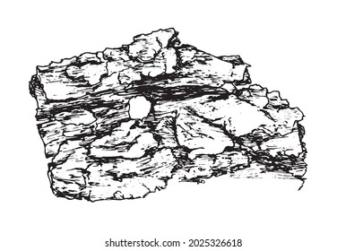 Vector texture of the bark. Hand-drawn sketch-style piece of old tree bark, close-up, isolated black outline on a white background for a design template. Vintage sketch closeup of black sketch texture