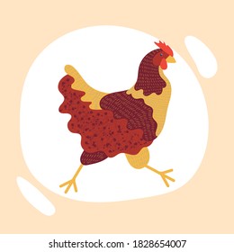 vector texture image of chicken, chicken icon isolated on background