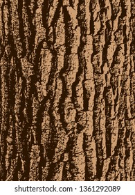 Vector Texture Of Oak Tree Bark