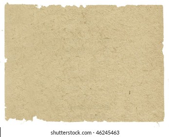 vector texture of the old paper