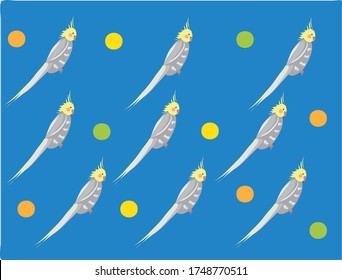 vector texture of yellow cockatiel parrots on a bright blue background