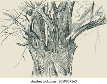 Dibujo abstracto de textura vectorial del árbol antiguo del tronco con ramas 