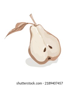 Vector textured beige half of pear with leaf and seeds on white background, yellow ripe organic vitamin cut fruit hand drawn illustration, vegetarian healthy food graphic element, fall harvest season