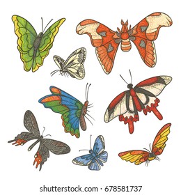 Vector textured color set illustration. Different tropical butterflies flying and sitting. Outline drawing sketch colored kit drawn in ink isolated on white background.