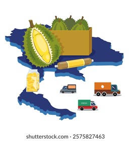 Vector Thai durian fruit and Thai map for export