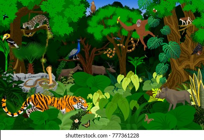 vector Thailand jungle rainforest illustration with animals