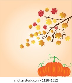 vector thanksgiving day card with pumpkins and a fall tree branch