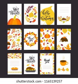 Vector Thanksgiving day greeting card, flyer, banner, poster templates. Hand drawn symbols, pumpkin pie, turkey and handwritten lettering. Thanksgiving day vector collection.