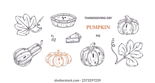 Vector Thanksgiving Day Set. Autumn Harvest symbols. Outline Pumpkin Pie, Leaves and Different Varieties of Pumpkins. Healthy Food. Bakery and Vegetables illustration.