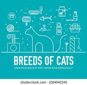 Vector thin line breed cats icons set. Cute outline animal illustrations pet design. Collection different kitten layout flat cover.
