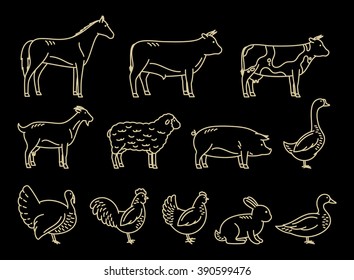 Vector thin line farm animals icons collection