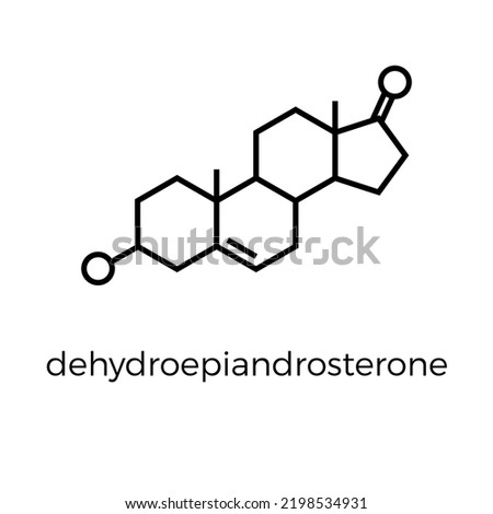 Vector thin line icon of dehydroepiandrosterone molecular structure. Chemical formula of dhea