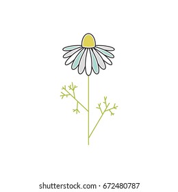 Vector thin line icon, flower on a stem. Elegant logo template. Design element for garden or flower shop, florist, natural cosmetics products. Isolated symbol. Simple mono linear modern design.