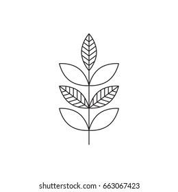 Vector thin line icon, leaves on a stem. Elegant logo template. Design element for garden or flower shop, florist, natural cosmetics products. Isolated symbol. Simple mono linear modern design.