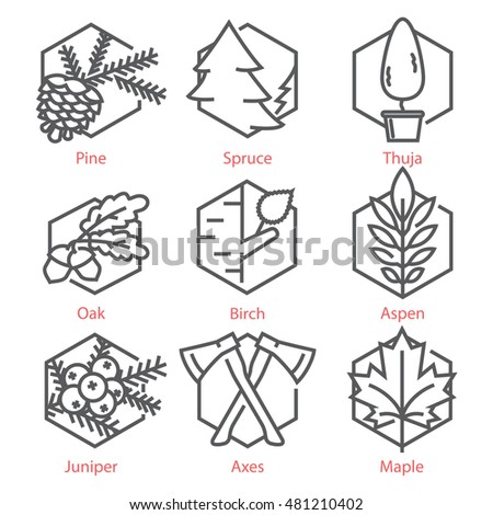  Vector thin line icons set with trees for nature and ecology infographics and UX UI kit
