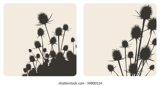 vector thistle illustration