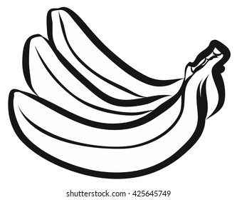 Vector Three Bananas Outline Sketch, Hand drawn Artwork