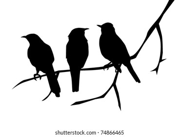 Vector Three Birds On The Branch