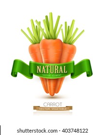 vector three carrots isolated on white background with green ribbon