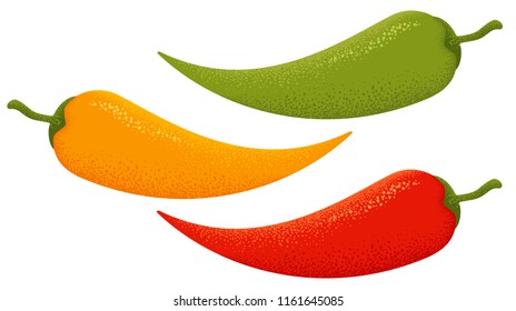 Vector three chilli peppers in retro style. Vector vintage red, green, and yellow chili peppers.