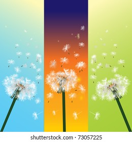 vector of three dandelion in the wind