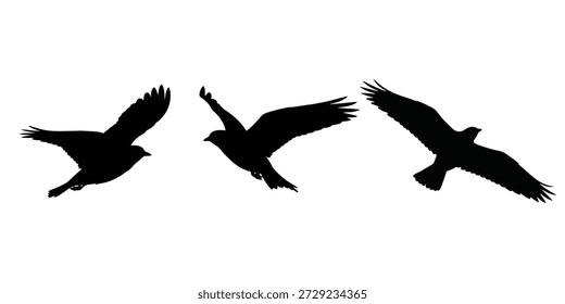 vector three flying birds silhouette icon in black, wings spread dynamically. Clean vector illustration for freedom, migration, nature, wildlife, and sky concepts.