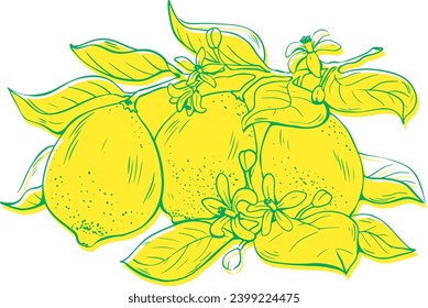 Vector three lemon fruits with leaves and flowers riso print effect isolated on white background