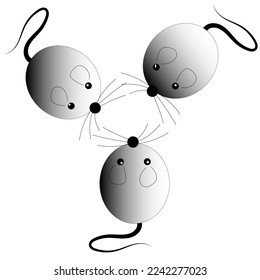 Vector three rats on isolated white background