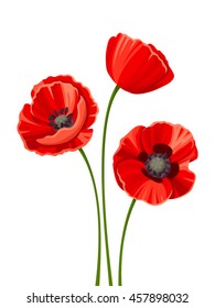 Vector three red poppies with stems isolated on a white background.