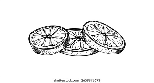 Vector three round citrus slices illustration painted by black inks. Lemon, orange or lime slice line art black ink sketch in monochrome style. Tropical fruit pieces for beverage packaging, bar menu.