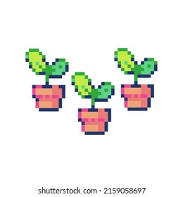 vector three small trees pixel art