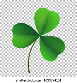 Vector three-leaf shamrock clover icon. Lucky fower-leafed symbol of Irish beer festival St Patrick's day. 3d realistic vector green grass clover isolated on transparent background