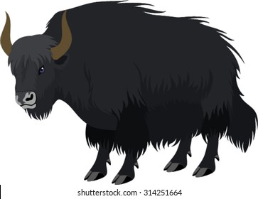 vector tibetan yak