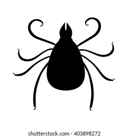 Vector tick or mite silhouette