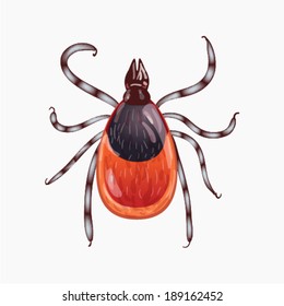 Vector tick on white background