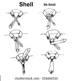 Vector tie and knot instruction, shell tie knot