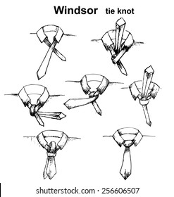 Vector Tie And Knot Instruction, Windsor Tie Knot