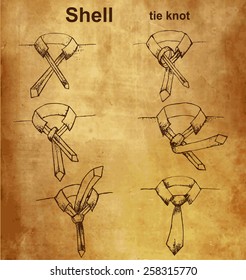 Corbata vectorial e instrucción vintage de nudos, nudo de corbata de concha