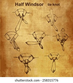 Vector tie and knot vintage instruction, Half Windsor tie knot