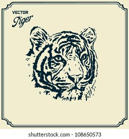 Vector Tiger