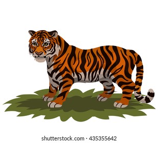Vector tiger