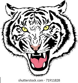 vector tiger