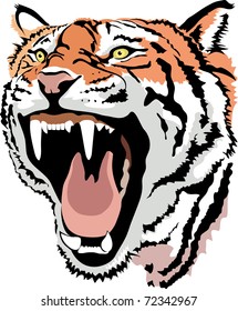 vector tiger