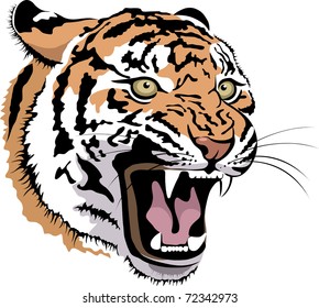 vector tiger