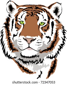 vector tiger