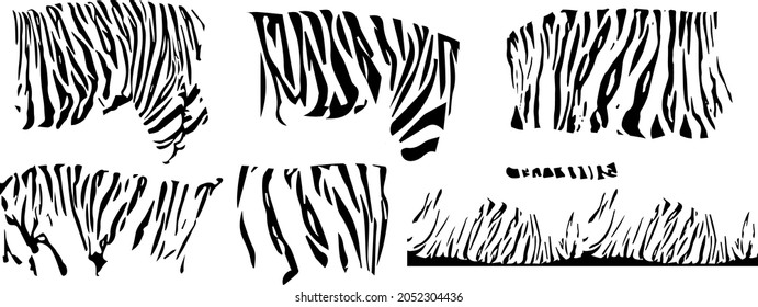 Vector Tiger black white stripe skin. Animal Stripe Texture, Jungle Print. Line Abstract Background. Exotic Chic Tiger.