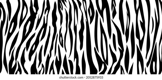 Vector Tiger black white stripe background. Animal skin banner. Stripe Texture Black Jungle Print. Line Abstract Background. Exotic Chic Tiger.