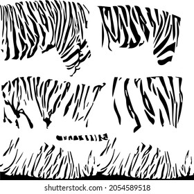 Piel de rayas blancas negras del Tigre vector. Textura de franja animal, impresión de jungla. Fondo de resumen de línea. Tigre Chic Exótico.